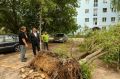 В аварийные службы Дзержинска поступило 93 обращения после урагана