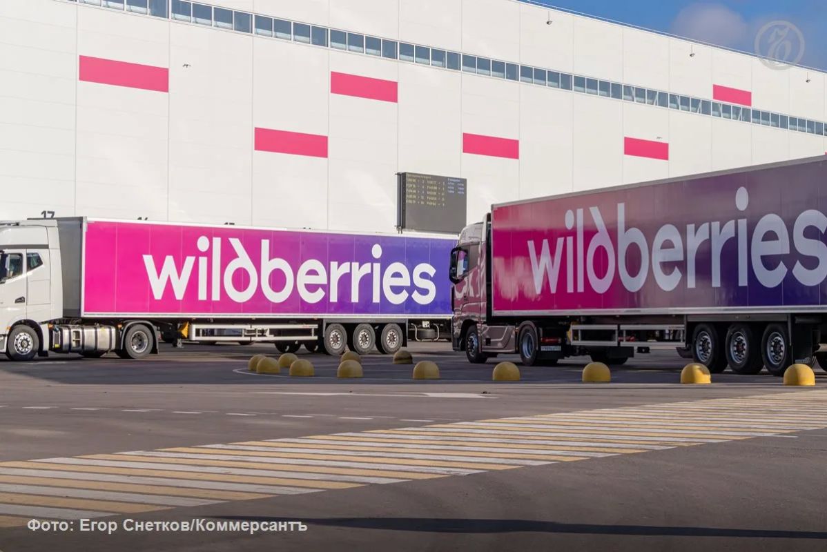 Минстрой выдал разрешение на строительство склада Wildberries в нижегородских Новинках