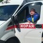 Экипаж «Валдая» и медики Балахнинской ЦРБ спасли пассажира теплохода после укуса шершня