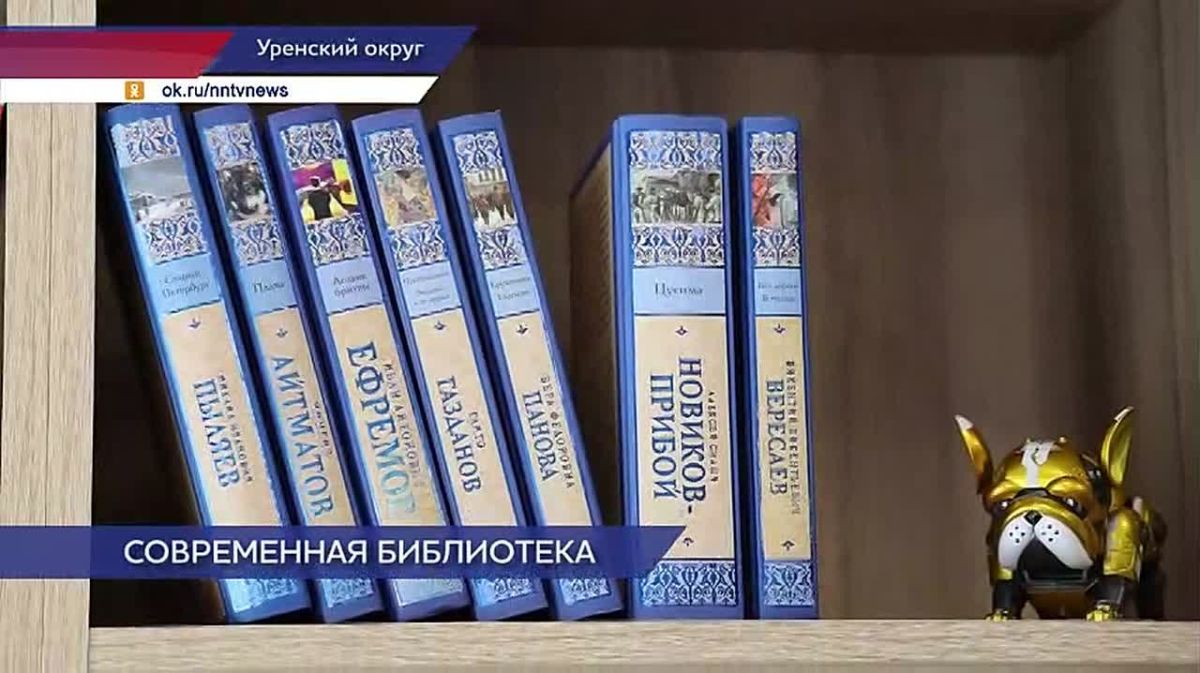Сразу 7 библиотек нашего региона модернизируют благодаря нацпроекту «Семья»