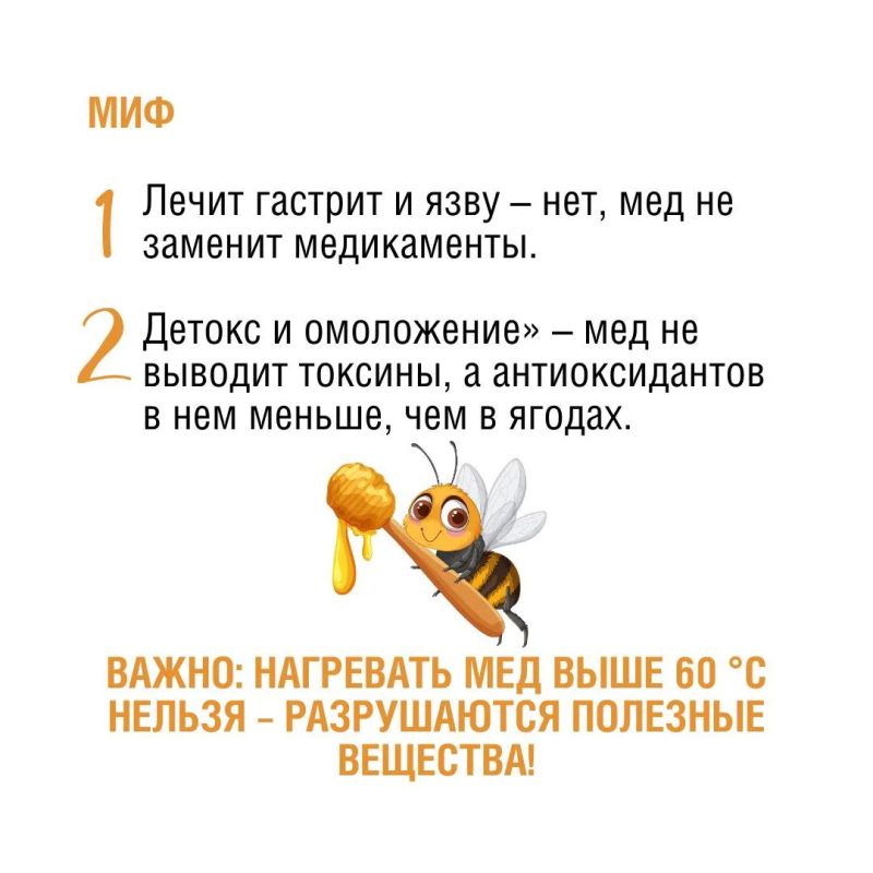 Пчелы – самые трудолюбивые фармацевты в мире! Они производят не только мед, но и множество других полезных продуктов: прополис, маточное молочко, пергу, воск… Пчелы – самые трудолюбивые фармацевты в мире! Они производят не только мед, но и множество других полезных продуктов: прополис, маточное молочко, пергу, воск…