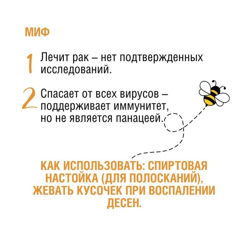 Пчелы – самые трудолюбивые фармацевты в мире! Они производят не только мед, но и множество других полезных продуктов: прополис, маточное молочко, пергу, воск… Пчелы – самые трудолюбивые фармацевты в мире! Они производят не только мед, но и множество других полезных продуктов: прополис, маточное молочко, пергу, воск…