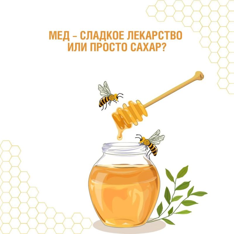 Пчелы – самые трудолюбивые фармацевты в мире! Они производят не только мед, но и множество других полезных продуктов: прополис, маточное молочко, пергу, воск…