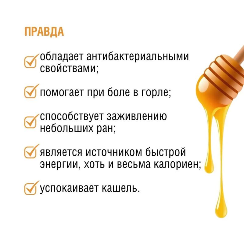 Пчелы – самые трудолюбивые фармацевты в мире! Они производят не только мед, но и множество других полезных продуктов: прополис, маточное молочко, пергу, воск… Пчелы – самые трудолюбивые фармацевты в мире! Они производят не только мед, но и множество других полезных продуктов: прополис, маточное молочко, пергу, воск…