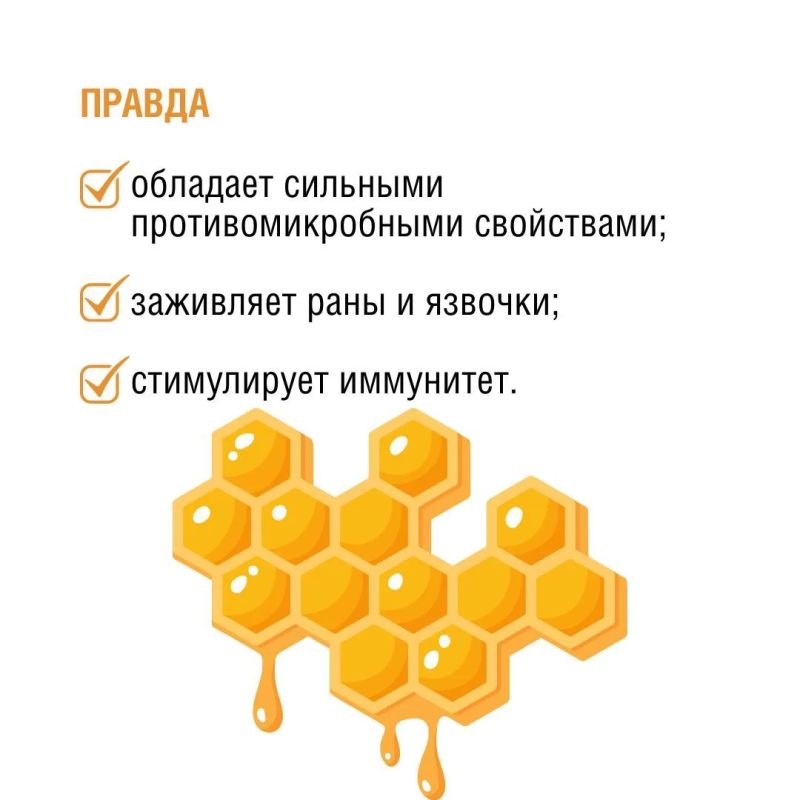 Пчелы – самые трудолюбивые фармацевты в мире! Они производят не только мед, но и множество других полезных продуктов: прополис, маточное молочко, пергу, воск… Пчелы – самые трудолюбивые фармацевты в мире! Они производят не только мед, но и множество других полезных продуктов: прополис, маточное молочко, пергу, воск…