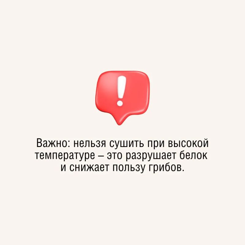 Знаете ли вы, что в сушеных белых грибах содержится значительно больше белка, чем в свежих? При правильной заготовке они сохраняют максимум пользы и насыщенный аромат! Знаете ли вы, что в сушеных белых грибах содержится значительно больше белка, чем в свежих? При правильной заготовке они сохраняют максимум пользы и насыщенный аромат!