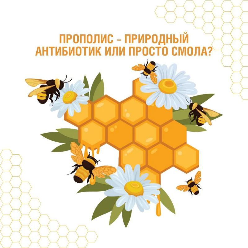 Пчелы – самые трудолюбивые фармацевты в мире! Они производят не только мед, но и множество других полезных продуктов: прополис, маточное молочко, пергу, воск… Пчелы – самые трудолюбивые фармацевты в мире! Они производят не только мед, но и множество других полезных продуктов: прополис, маточное молочко, пергу, воск…