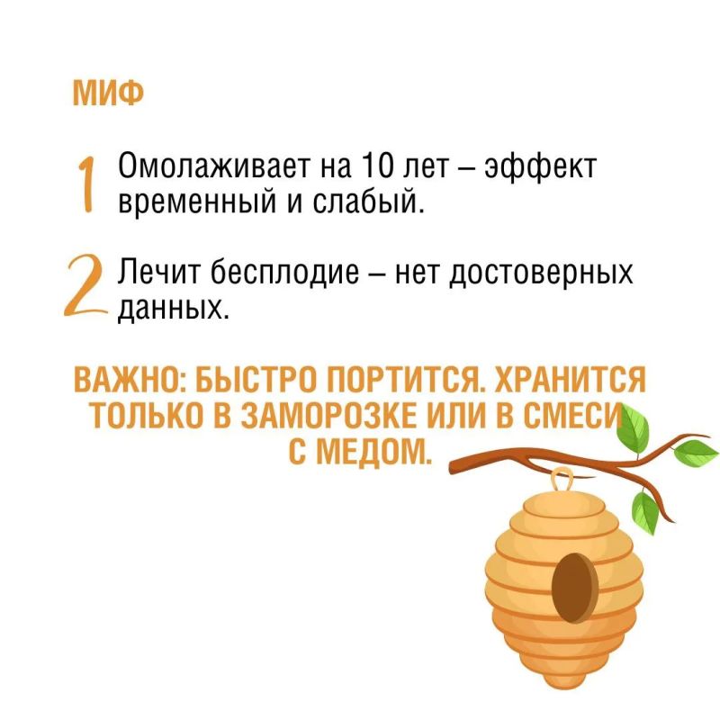 Пчелы – самые трудолюбивые фармацевты в мире! Они производят не только мед, но и множество других полезных продуктов: прополис, маточное молочко, пергу, воск… Пчелы – самые трудолюбивые фармацевты в мире! Они производят не только мед, но и множество других полезных продуктов: прополис, маточное молочко, пергу, воск…