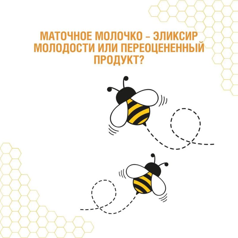 Пчелы – самые трудолюбивые фармацевты в мире! Они производят не только мед, но и множество других полезных продуктов: прополис, маточное молочко, пергу, воск… Пчелы – самые трудолюбивые фармацевты в мире! Они производят не только мед, но и множество других полезных продуктов: прополис, маточное молочко, пергу, воск…