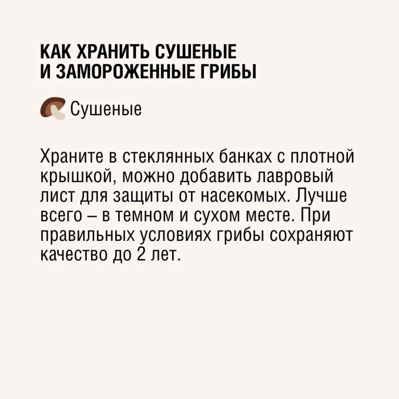 Знаете ли вы, что в сушеных белых грибах содержится значительно больше белка, чем в свежих? При правильной заготовке они сохраняют максимум пользы и насыщенный аромат! Знаете ли вы, что в сушеных белых грибах содержится значительно больше белка, чем в свежих? При правильной заготовке они сохраняют максимум пользы и насыщенный аромат!