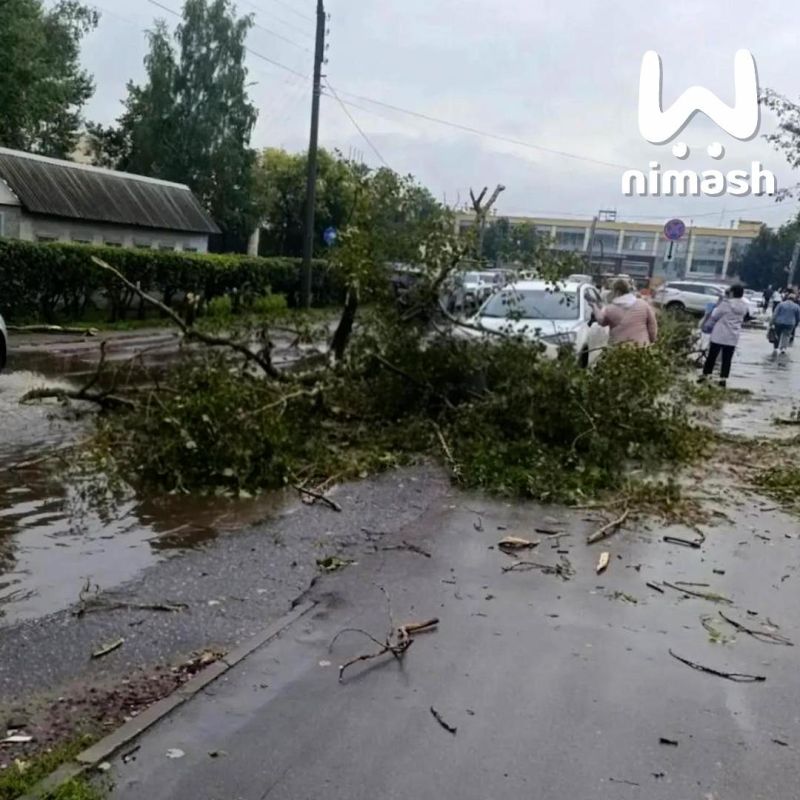 Мощный смерч сразил наповал несколько деревьев на Автозаводе Мощный смерч сразил наповал несколько деревьев на Автозаводе