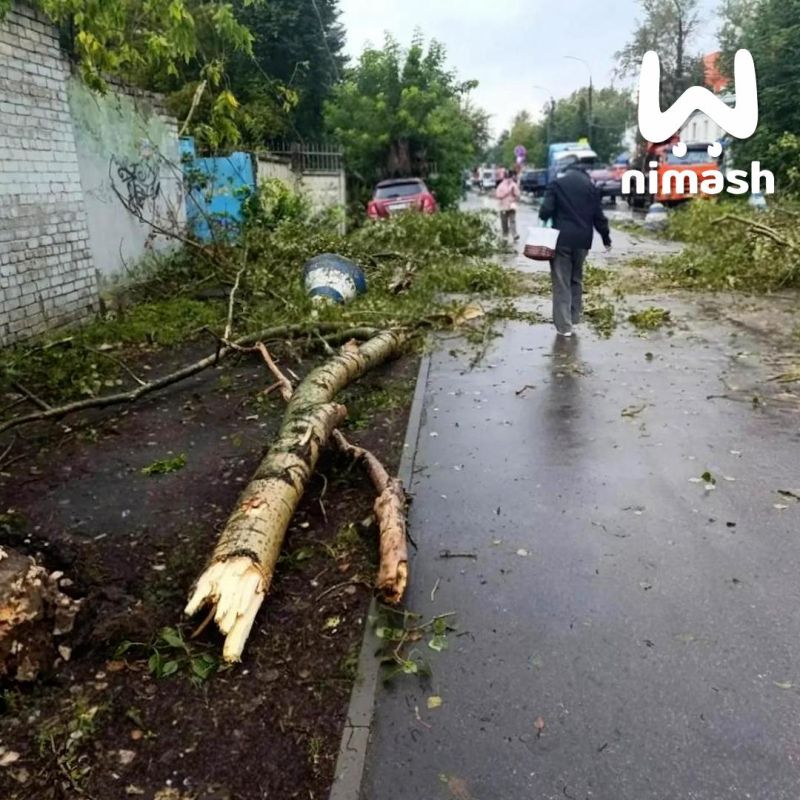 Мощный смерч сразил наповал несколько деревьев на Автозаводе Мощный смерч сразил наповал несколько деревьев на Автозаводе