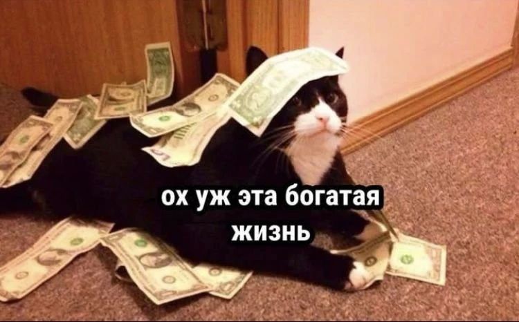 В Нижегородской области стало больше жителей с высокими зарплатами