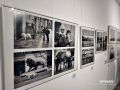 Нижегородские фотографы рассказали о перспективах художественного фото