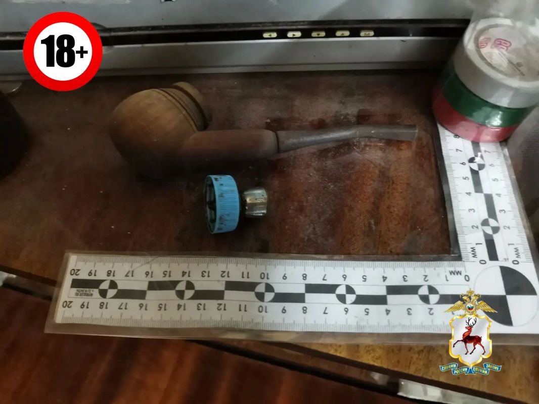 В Ветлуге полицейские выявили факт незаконного хранения частей наркосодержащего растения В Ветлуге полицейские выявили факт незаконного хранения частей наркосодержащего растения