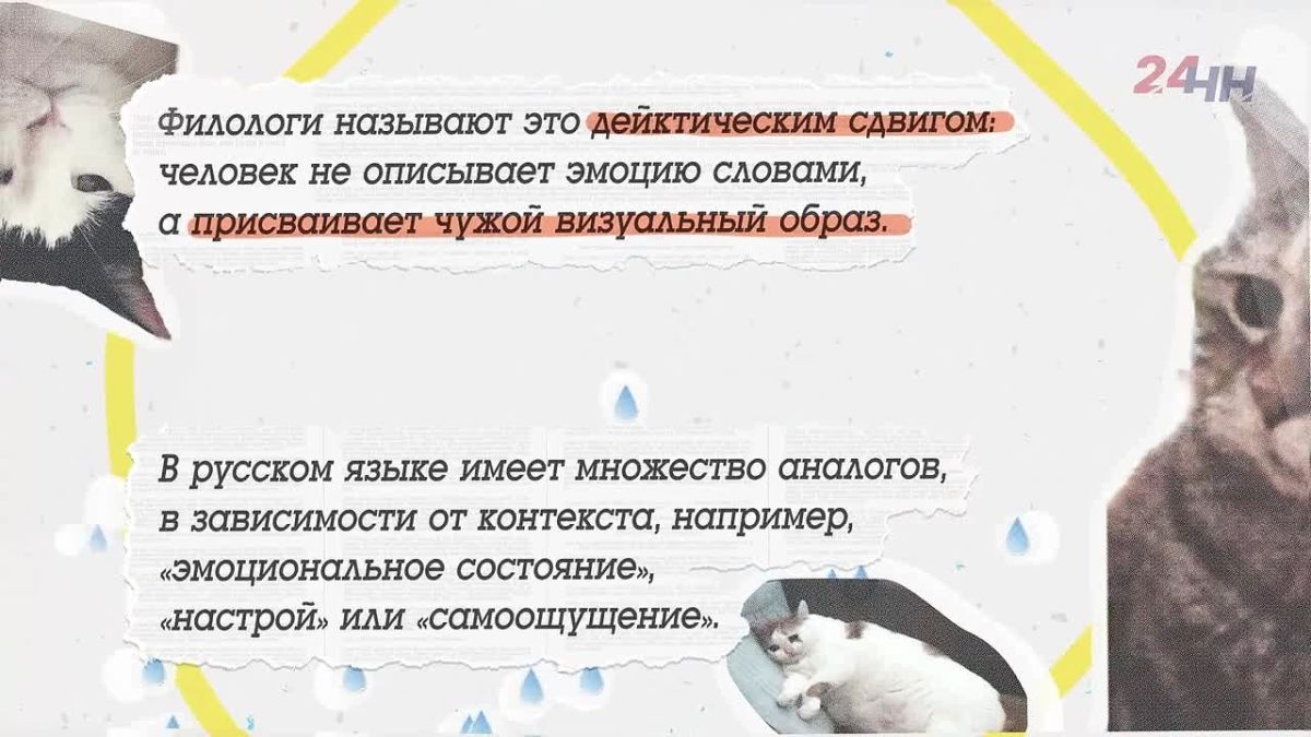 Видишь в сторис „мой муд“ — и вроде понятно, а вроде и нет