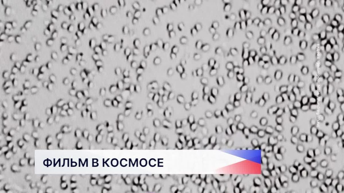 Документальный фильм пермского режиссера Сергея Климова «Эврика» показали на Международной космической станции