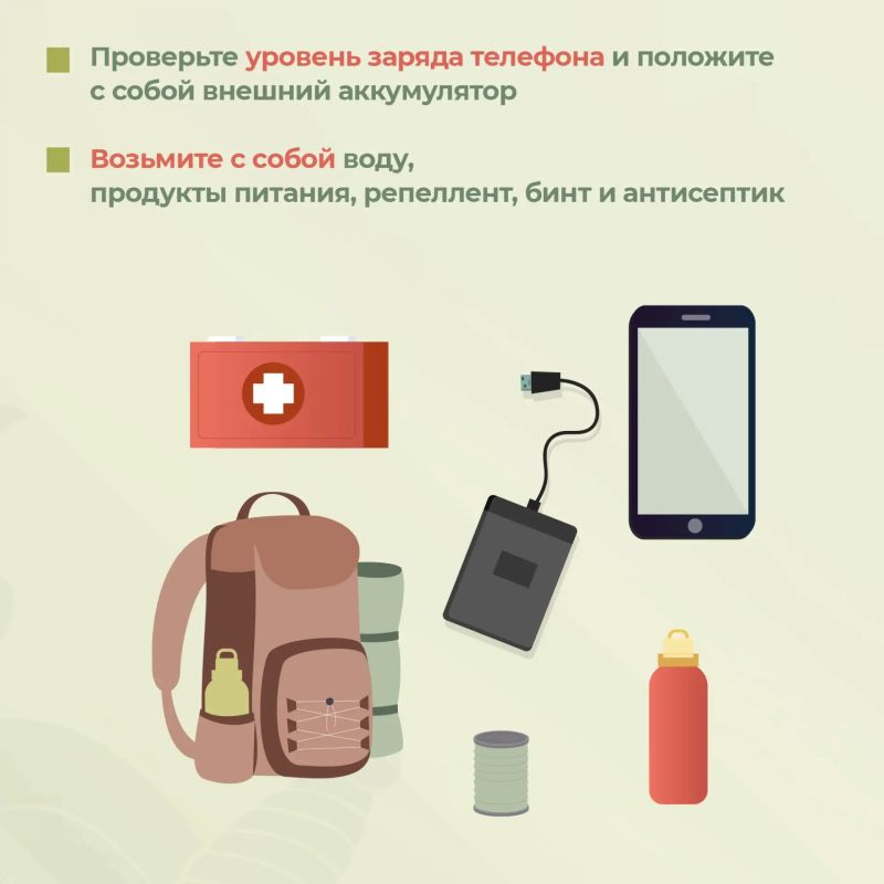 «Тихая охота» или поход за грибами – распространенное времяпрепровождение в летне-осенний период «Тихая охота» или поход за грибами – распространенное времяпрепровождение в летне-осенний период