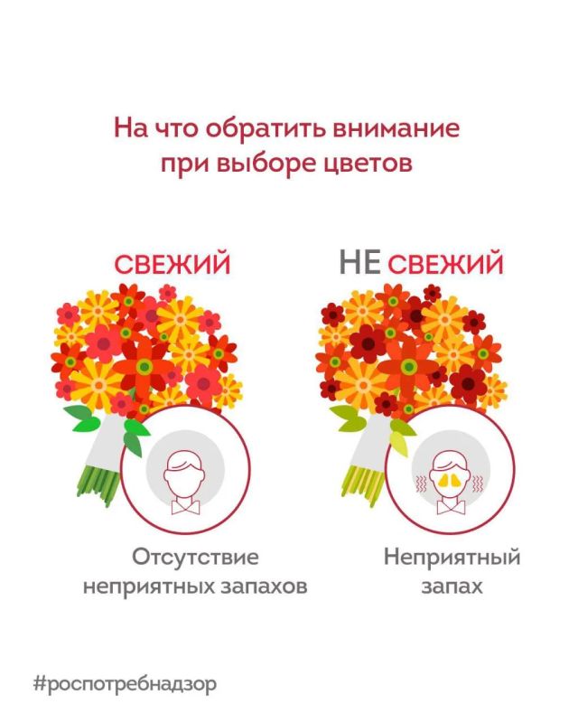 Как понять, что цветы свежие? Как понять, что цветы свежие?