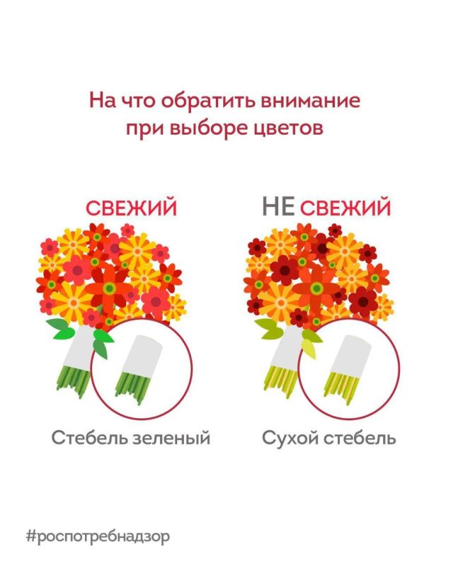 Как понять, что цветы свежие? Как понять, что цветы свежие?