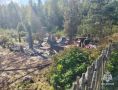 Пенсионерка погибла на пожаре в садовом домике в Семеновском округе