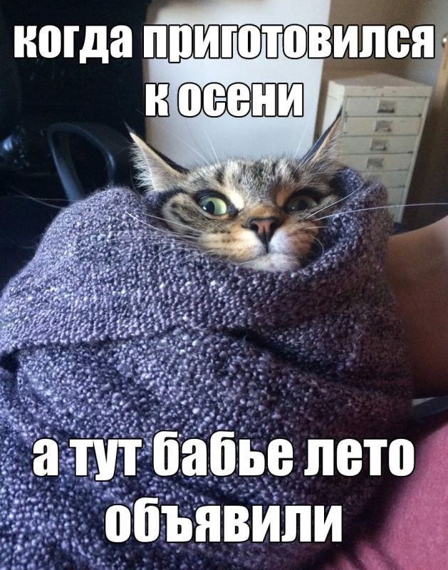 Не грустим, что лето кончилось: эксперты говорят, что и осень в Нижегородской области будет тёплой