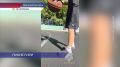 ������-����� �� ����� ��� ����� �� �������� ���� ����� �������� �� ���������� ������ �������