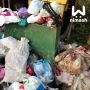 В Минэкологии предложили жителям Бора везти пакеты с отходами сразу на мусороперегрузочную станцию