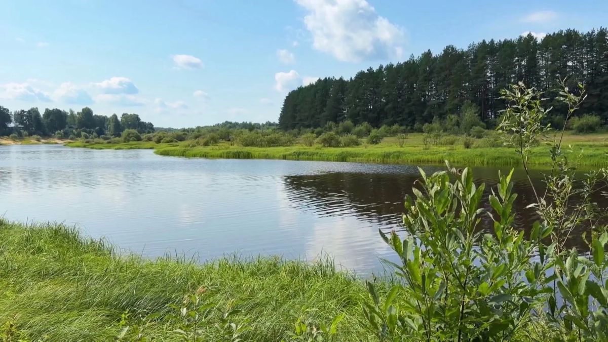 Сезон охоты по-нижегородски! Сезон охоты по-нижегородски!