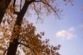 Доброе утро, Нижний!. Утром +16°, пасмурно, днем + 18°C, облачно, небольшой дождь