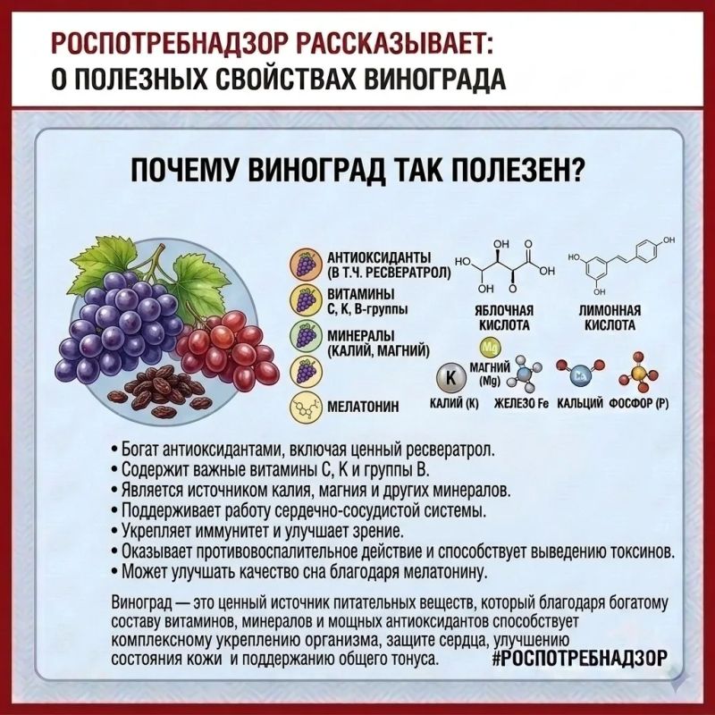 Сентябрь — время сочных фруктов и полезных ягод! Сентябрь — время сочных фруктов и полезных ягод!