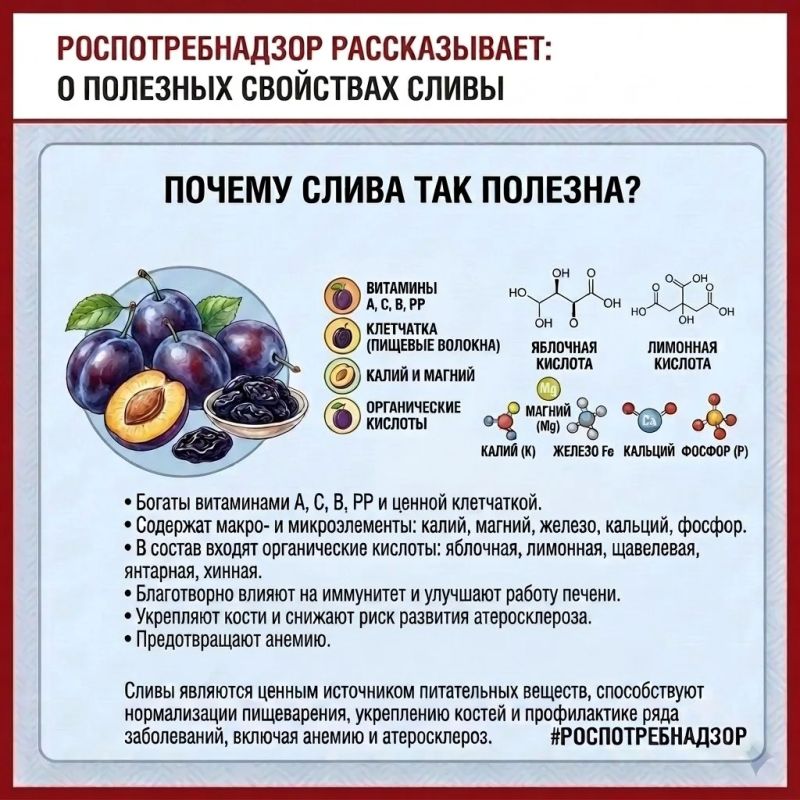 Сентябрь — время сочных фруктов и полезных ягод! Сентябрь — время сочных фруктов и полезных ягод!