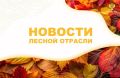 AK&M: Рослесхоз: в 70 регионах страны обследовали 31 тыс