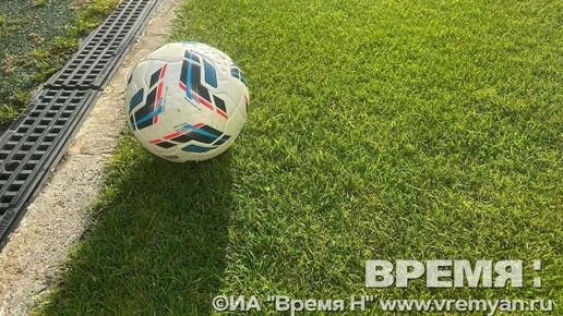 Сборная России по футболу сыграет с Нигерией на стадионе в Нижнем Новгороде
