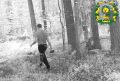 В объектив фотоловушки в Кулебакском лесничестве попал нарушитель противопожарного режима
