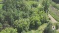Четыре угнанные машины нашли с помощью дрона в нижегородских лесах