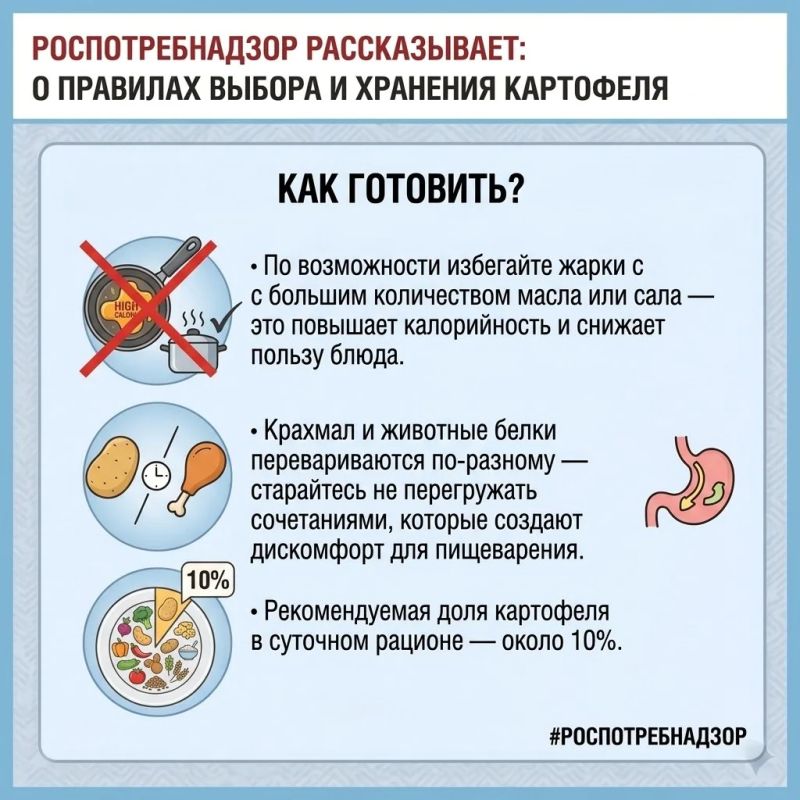 Как выбрать и правильно хранить картофель? Как выбрать и правильно хранить картофель?