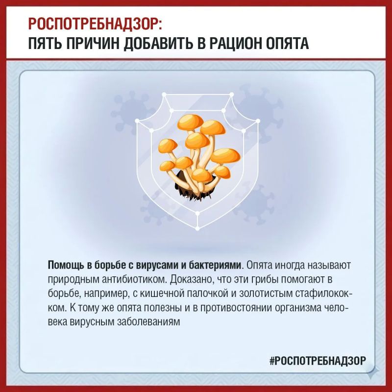 Пять причин добавить в рацион опята Пять причин добавить в рацион опята