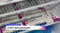 В Нижегородскую область поступило почти 250 тысяч доз вакцины против гриппа