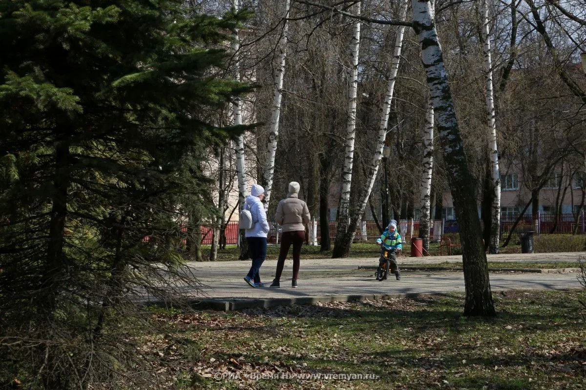 Число усыновлений в Нижегородской области за два года выросло в 2,5 раза