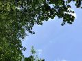 В Нижегородской области растет поглощение углекислого газа