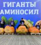 Смотрите, эта тыковка принесла нашему земляку победу на всероссийском уровне