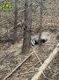 ������������� ���� ������� � ����������� ������
