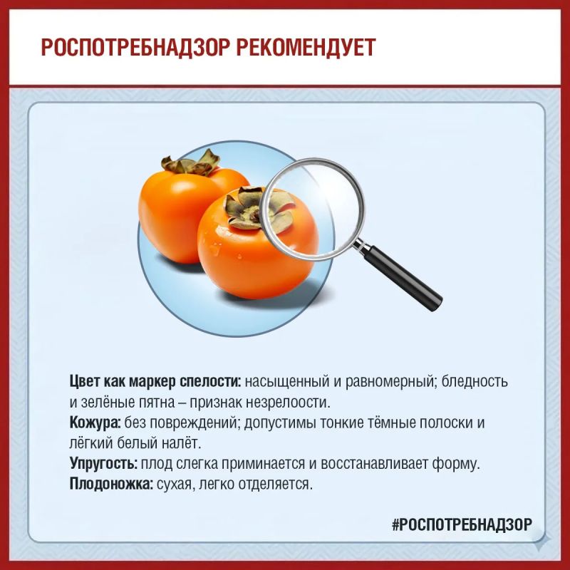 Сезон хурмы в разгаре! Роспотребнадзор делится советами, как выбрать и хранить этот фрукт Сезон хурмы в разгаре! Роспотребнадзор делится советами, как выбрать и хранить этот фрукт