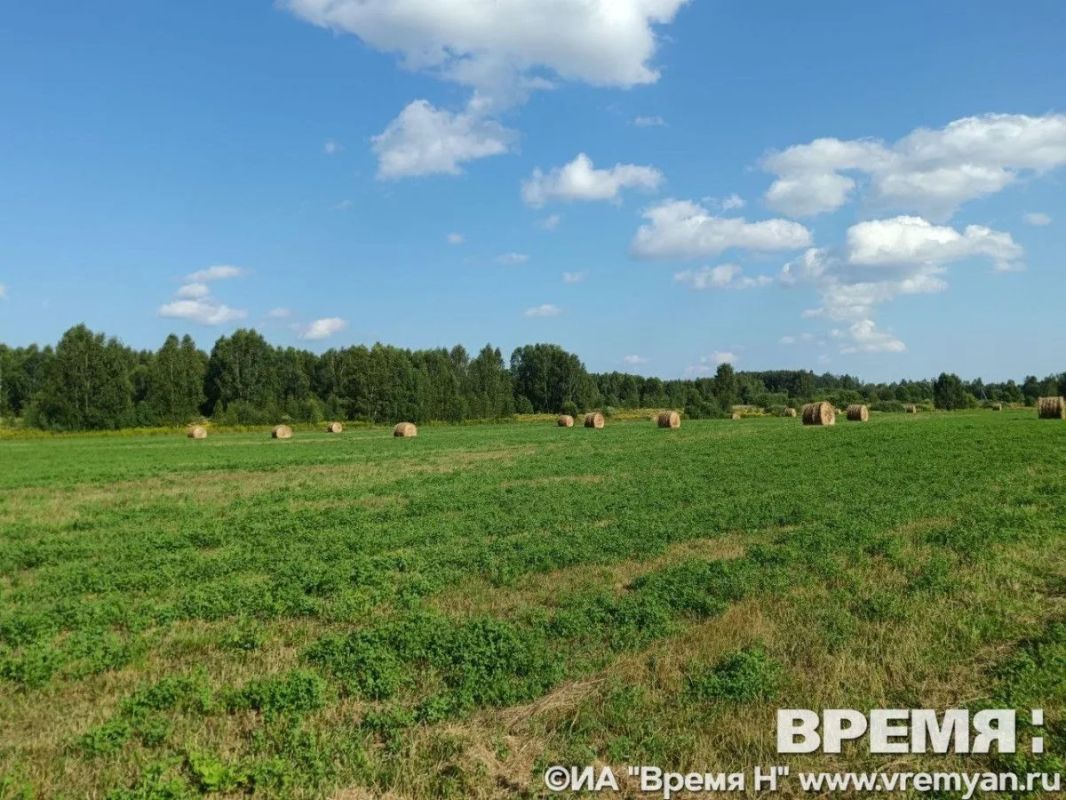 Роботизированный комплекс для борьбы с борщевиком испытали в Нижегородской области