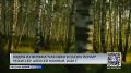 Из комиксов — в русскую сказку