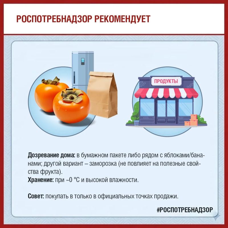 Сезон хурмы в разгаре! Роспотребнадзор делится советами, как выбрать и хранить этот фрукт Сезон хурмы в разгаре! Роспотребнадзор делится советами, как выбрать и хранить этот фрукт