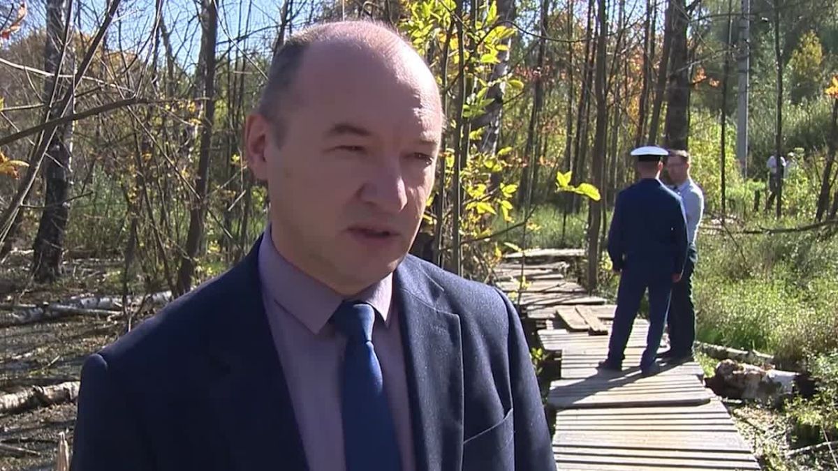 Природоохранная прокуратура взяла на контроль ситуацию с затопленным лесом в Московском районе Нижнего Новгорода