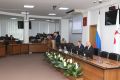 Члены профильной постоянной комиссии городской Думы