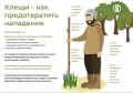 Сезон активности клещей продолжается